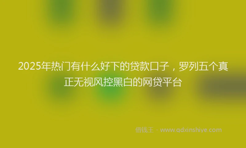 2025年热门有什么好下的贷款口子，罗列五个真正无视风控黑白的网贷平台