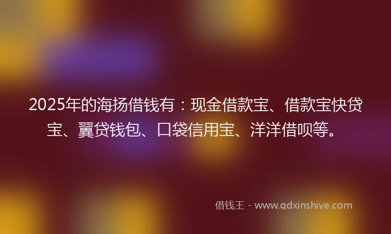 2025年的海扬借钱有：现金借款宝、借款宝快贷宝、翼贷钱包、口袋信用宝、洋洋借呗等。