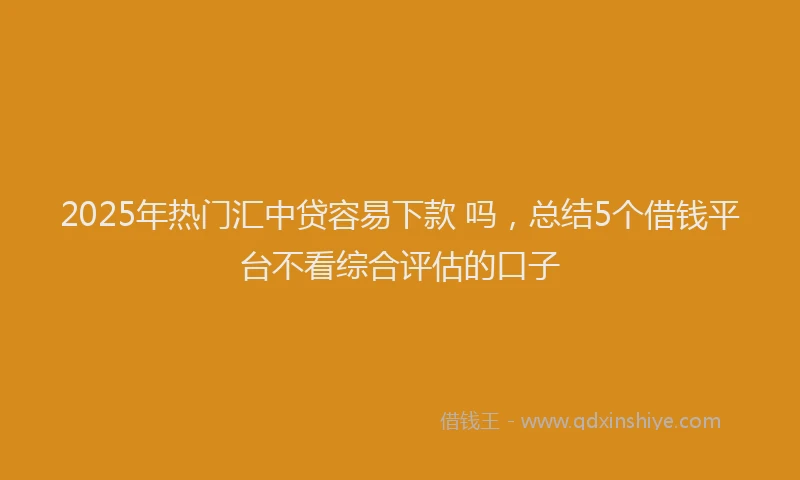 2025年热门汇中贷容易下款 吗，总结5个借钱平台不看综合评估的口子