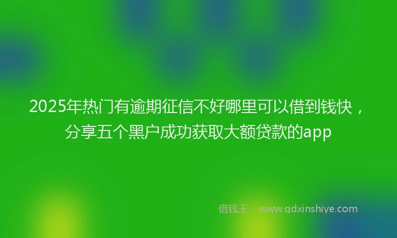 2025年热门有逾期征信不好哪里可以借到钱快，分享五个黑户成功获取大额贷款的app