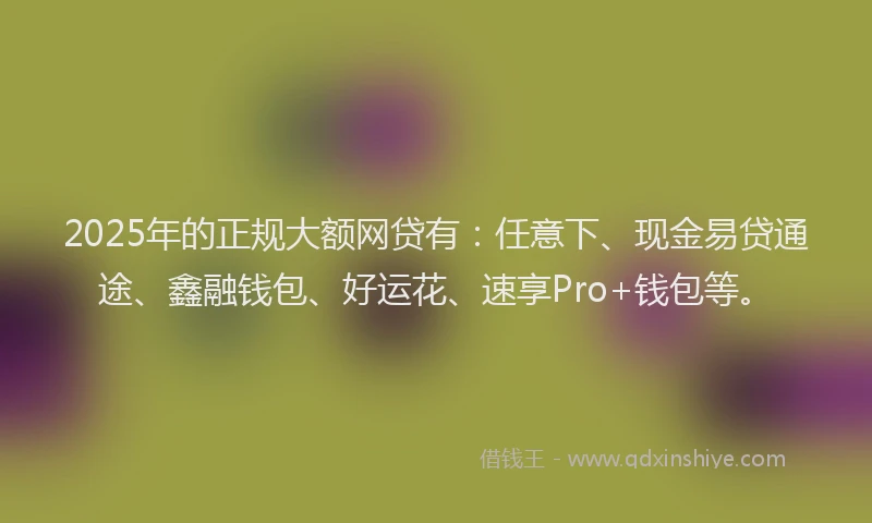 2025年的正规大额网贷有：任意下、现金易贷通途、鑫融钱包、好运花、速享Pro+钱包等。