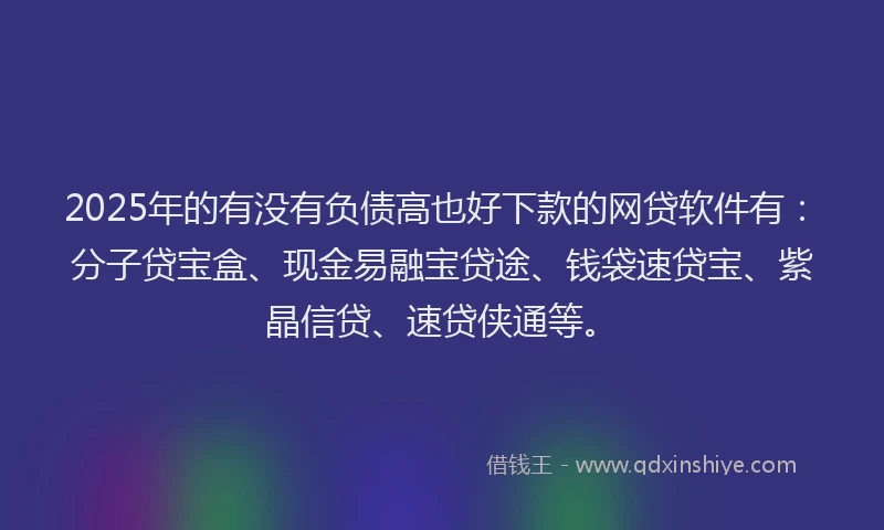 2025年的有没有负债高也好下款的网贷软件有：分子贷宝盒、现金易融宝贷途、钱袋速贷宝、紫晶信贷、速贷侠通等。