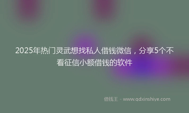 2025年热门灵武想找私人借钱微信，分享5个不看征信小额借钱的软件