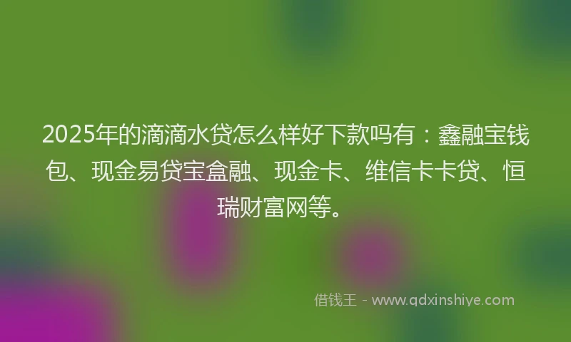 2025年的滴滴水贷怎么样好下款吗有：鑫融宝钱包、现金易贷宝盒融、现金卡、维信卡卡贷、恒瑞财富网等。
