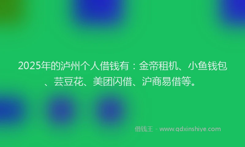 2025年的泸州个人借钱有：金帝租机、小鱼钱包、芸豆花、美团闪借、沪商易借等。