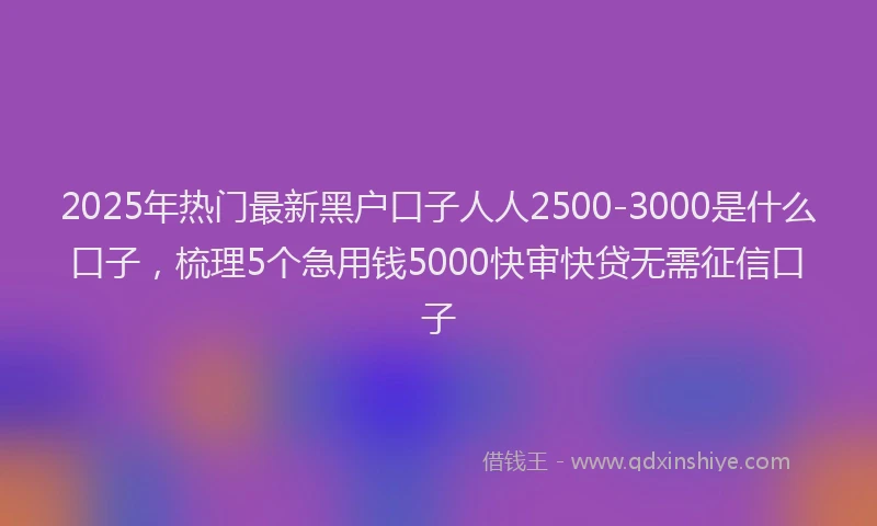 2025年热门最新黑户口子人人2500-3000是什么口子，梳理5个急用钱5000快审快贷无需征信口子