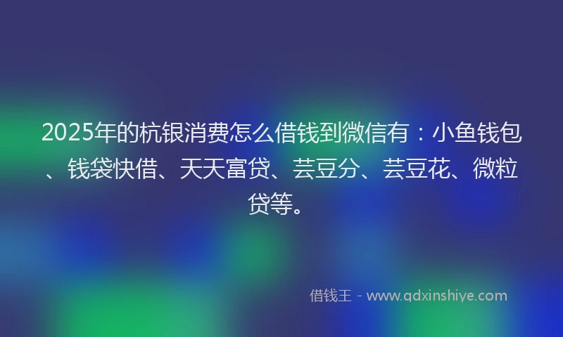 2025年的杭银消费怎么借钱到微信有:小鱼钱包、钱袋快借、天天富贷、芸豆分、芸豆花、微粒贷等。