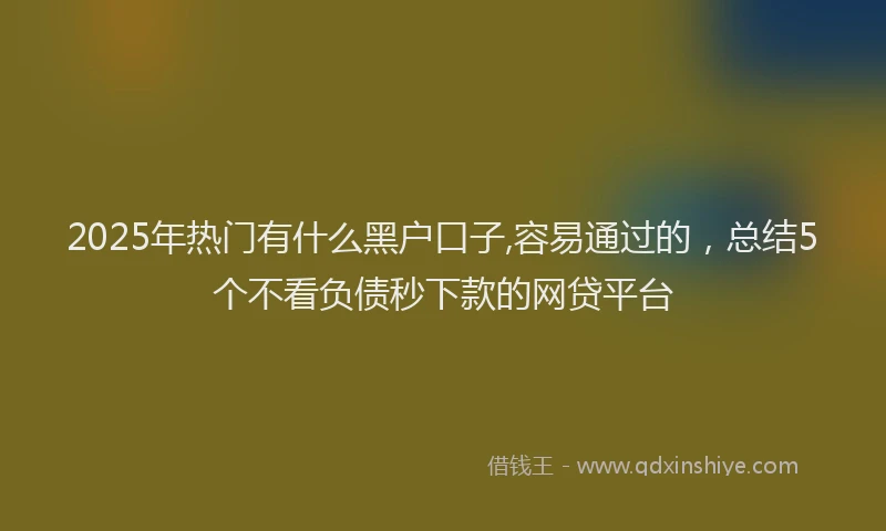2025年热门有什么黑户口子,容易通过的，总结5个不看负债秒下款的网贷平台