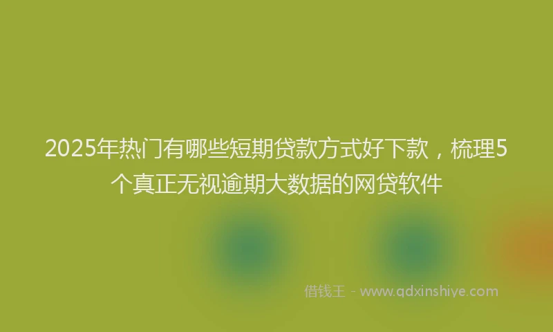 2025年热门有哪些短期贷款方式好下款，梳理5个真正无视逾期大数据的网贷软件