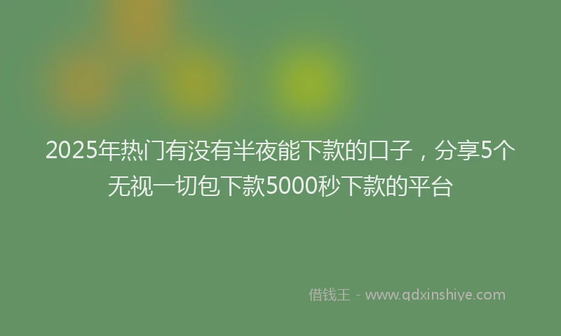 2025年热门有没有半夜能下款的口子,分享5个无视一切包下款5000秒下款的平台