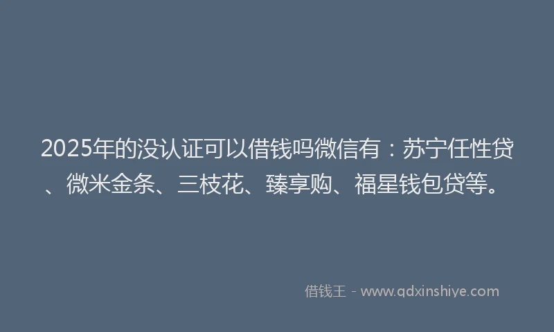 2025年的没认证可以借钱吗微信有：苏宁任性贷、微米金条、三枝花、臻享购、福星钱包贷等。
