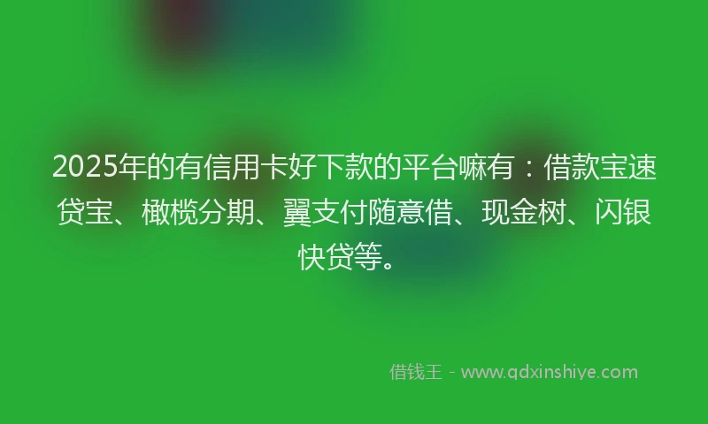 2025年的有信用卡好下款的平台嘛有：借款宝速贷宝、橄榄分期、翼支付随意借、现金树、闪银快贷等。