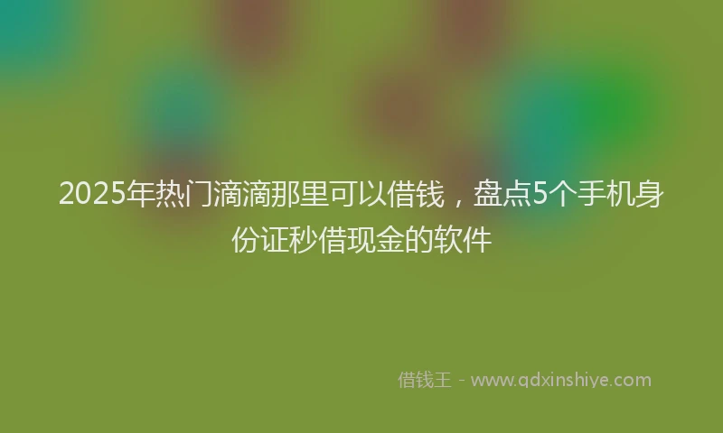 2025年热门滴滴那里可以借钱，盘点5个手机身份证秒借现金的软件