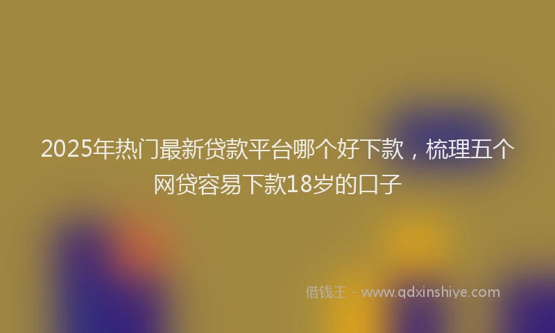 2025年热门最新贷款平台哪个好下款，梳理五个网贷容易下款18岁的口子