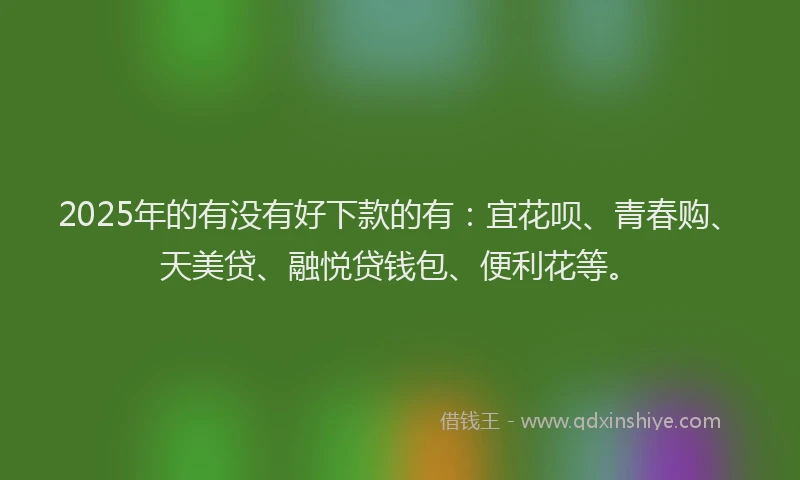 2025年的有没有好下款的有：宜花呗、青春购、天美贷、融悦贷钱包、便利花等。