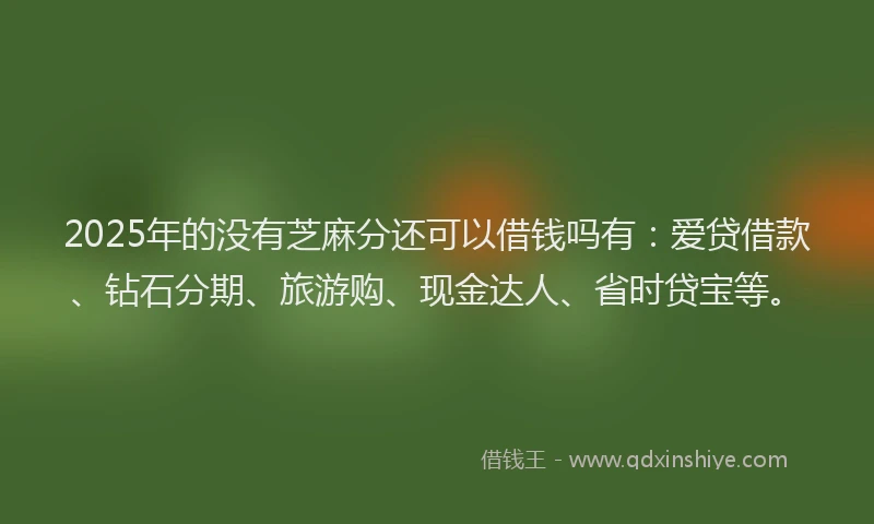 2025年的没有芝麻分还可以借钱吗有：爱贷借款、钻石分期、旅游购、现金达人、省时贷宝等。