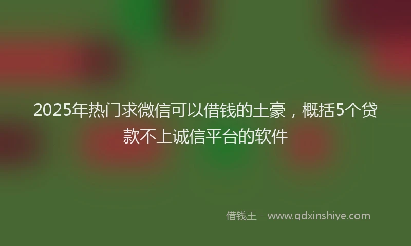2025年热门求微信可以借钱的土豪，概括5个贷款不上诚信平台的软件