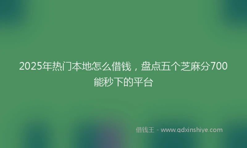 2025年热门本地怎么借钱，盘点五个芝麻分700能秒下的平台