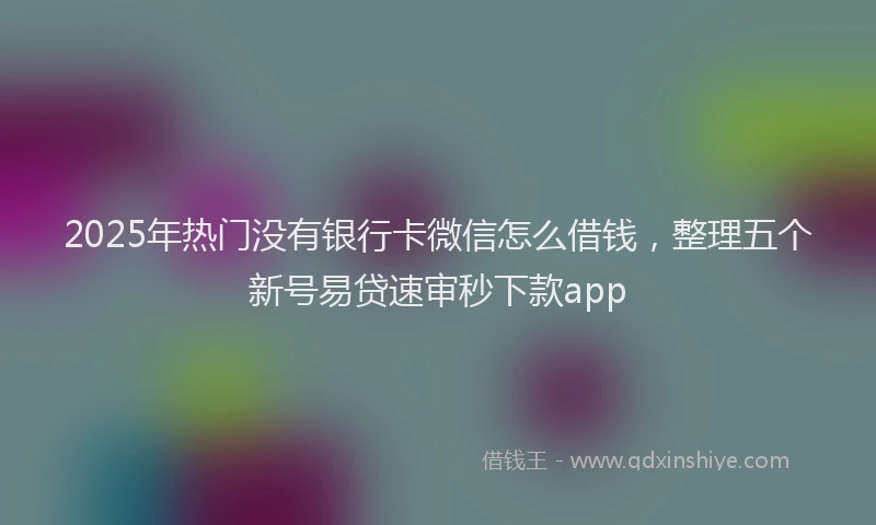 2025年热门没有银行卡微信怎么借钱，整理五个新号易贷速审秒下款app