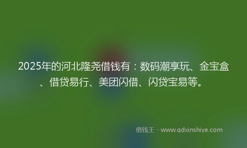 2025年的河北隆尧借钱有：数码潮享玩、金宝盒、借贷易行、美团闪借、闪贷宝易等。
