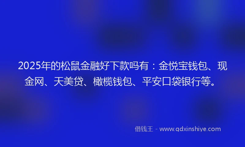 2025年的松鼠金融好下款吗有：金悦宝钱包、现金网、天美贷、橄榄钱包、平安口袋银行等。