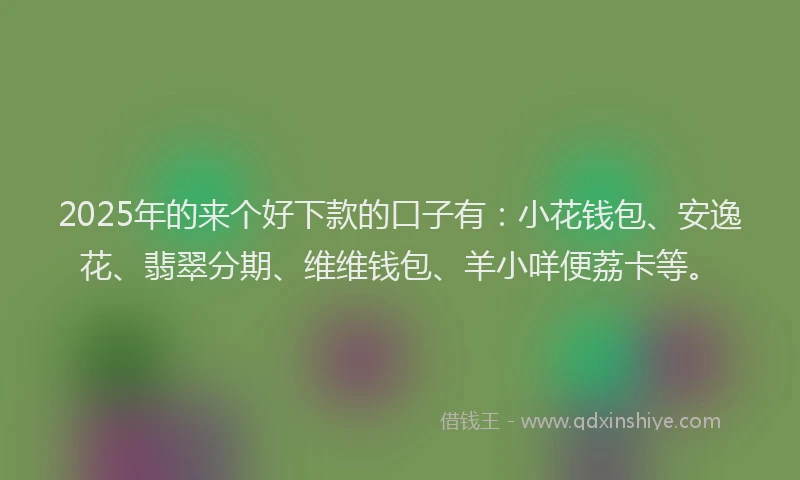 2025年的来个好下款的口子有：小花钱包、安逸花、翡翠分期、维维钱包、羊小咩便荔卡等。