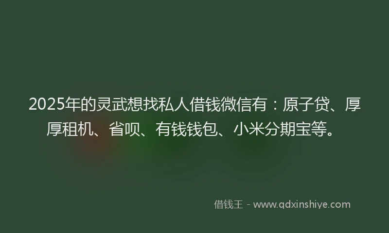 2025年的灵武想找私人借钱微信有：原子贷、厚厚租机、省呗、有钱钱包、小米分期宝等。