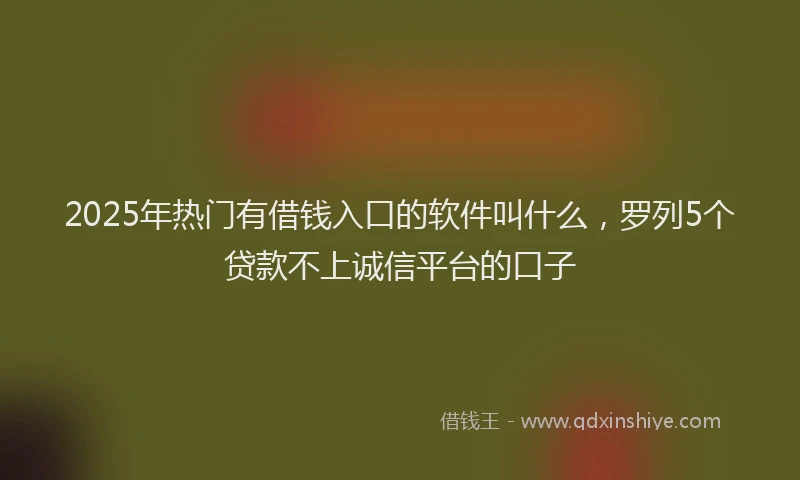2025年热门有借钱入口的软件叫什么，罗列5个贷款不上诚信平台的口子