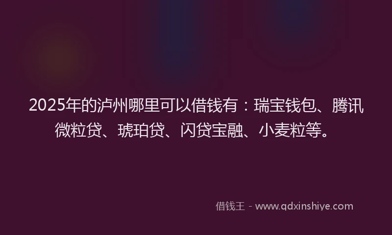 2025年的泸州哪里可以借钱有：瑞宝钱包、腾讯微粒贷、琥珀贷、闪贷宝融、小麦粒等。