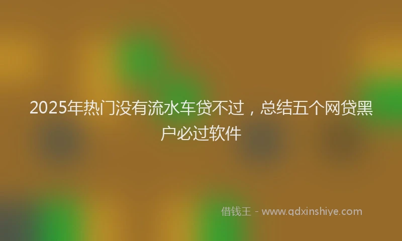 2025年热门没有流水车贷不过，总结五个网贷黑户必过软件