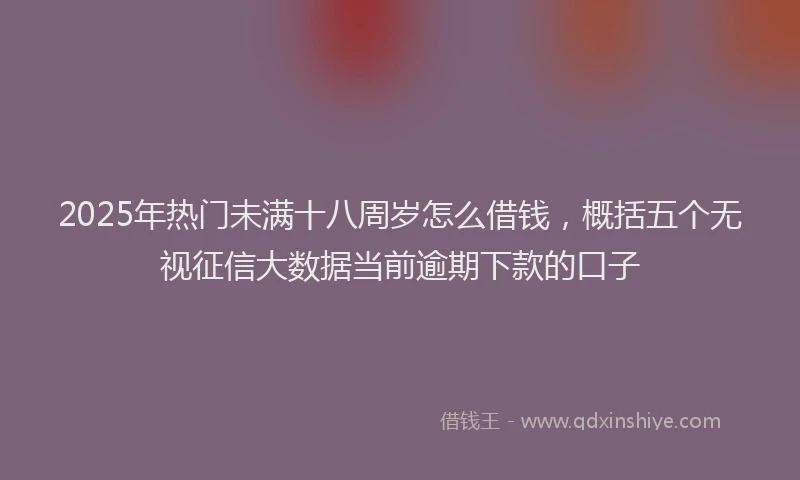 2025年热门未满十八周岁怎么借钱，概括五个无视征信大数据当前逾期下款的口子