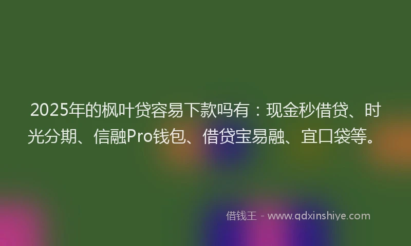 2025年的枫叶贷容易下款吗有：现金秒借贷、时光分期、信融Pro钱包、借贷宝易融、宜口袋等。