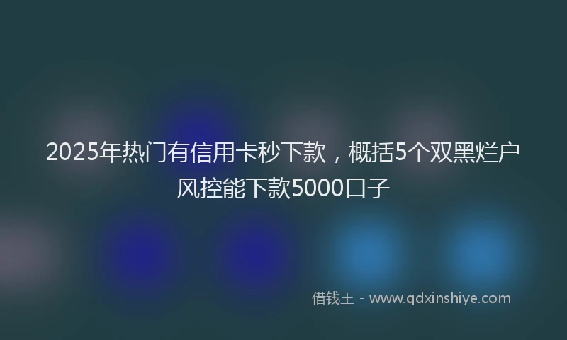 2025年热门有信用卡秒下款，概括5个双黑烂户风控能下款5000口子