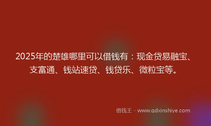 2025年的楚雄哪里可以借钱有:现金贷易融宝、支富通、钱站速贷、钱贷乐、微粒宝等。