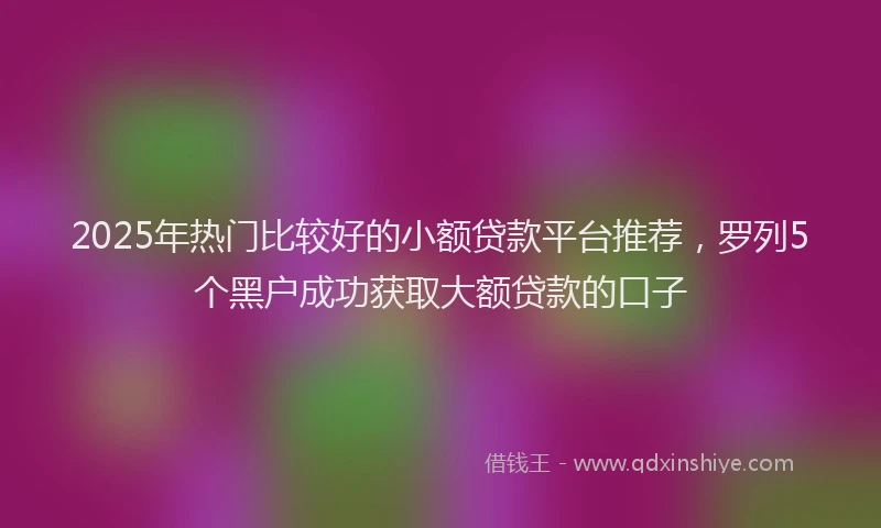 2025年热门比较好的小额贷款平台推荐,罗列5个黑户成功获取大额贷款的口子