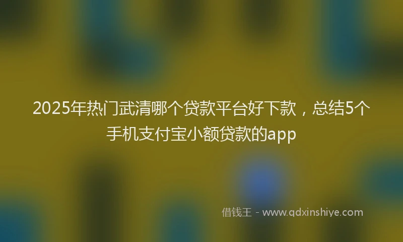 2025年热门武清哪个贷款平台好下款，总结5个手机支付宝小额贷款的app