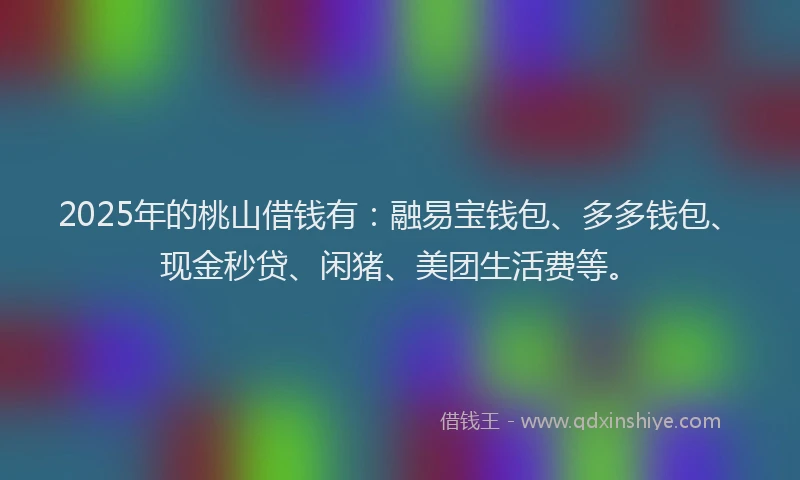 2025年的桃山借钱有：融易宝钱包、多多钱包、现金秒贷、闲猪、美团生活费等。