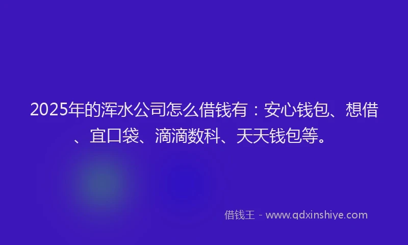 2025年的浑水公司怎么借钱有：安心钱包、想借、宜口袋、滴滴数科、天天钱包等。
