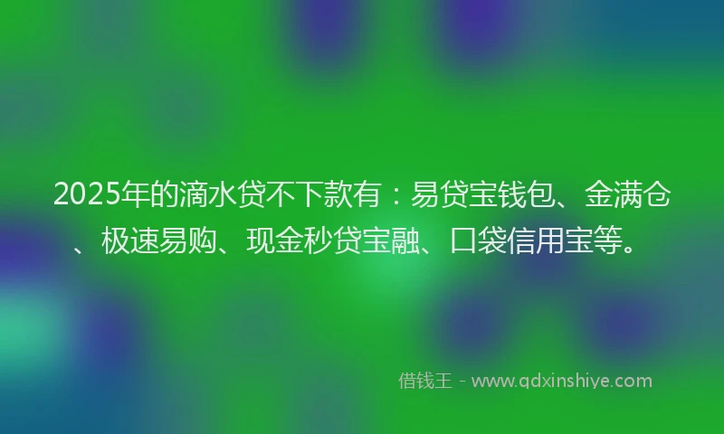 2025年的滴水贷不下款有：易贷宝钱包、金满仓、极速易购、现金秒贷宝融、口袋信用宝等。