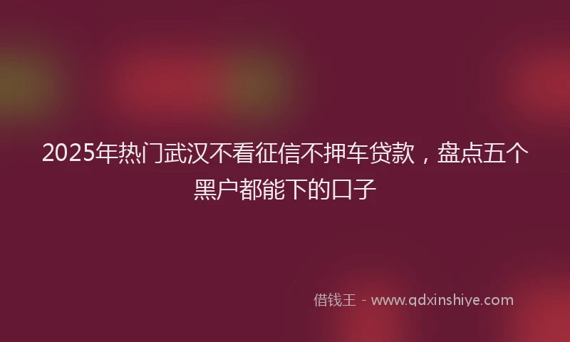 2025年热门武汉不看征信不押车贷款,盘点五个黑户都能下的口子