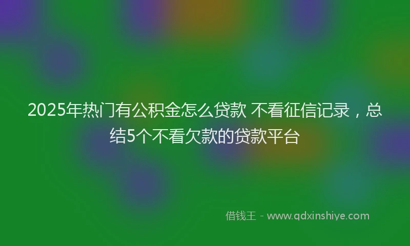 2025年热门有公积金怎么贷款 不看征信记录，总结5个不看欠款的贷款平台