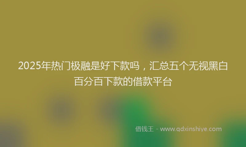 2025年热门极融是好下款吗，汇总五个无视黑白百分百下款的借款平台
