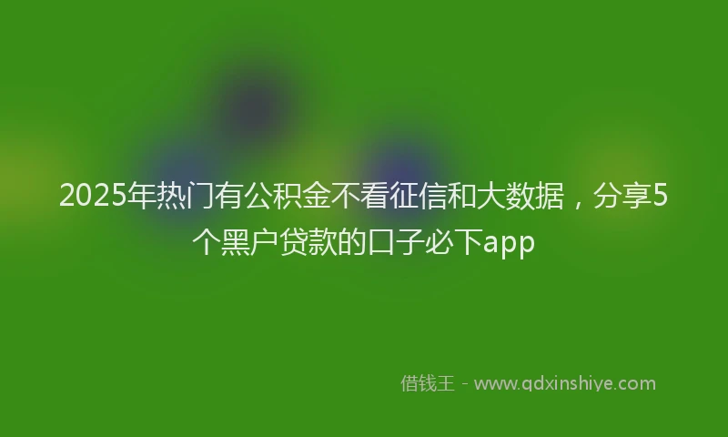 2025年热门有公积金不看征信和大数据，分享5个黑户贷款的口子必下app