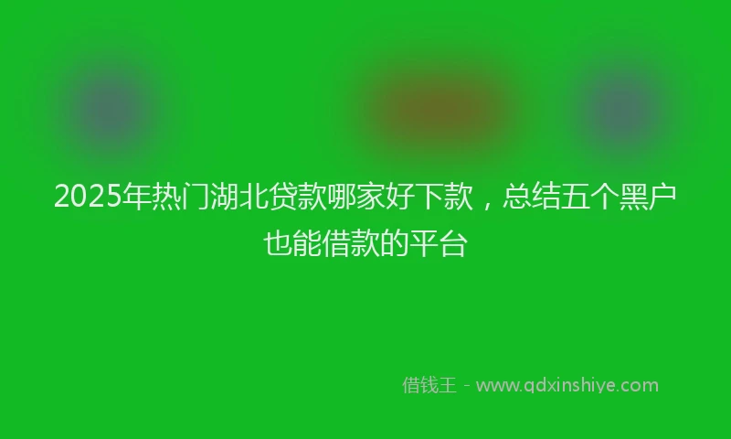 2025年热门湖北贷款哪家好下款，总结五个黑户也能借款的平台