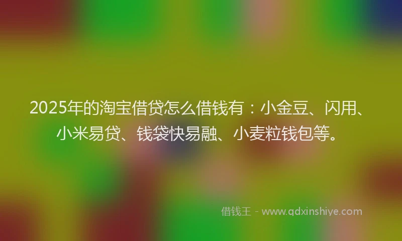 2025年的淘宝借贷怎么借钱有：小金豆、闪用、小米易贷、钱袋快易融、小麦粒钱包等。