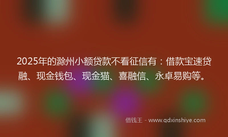 2025年的滁州小额贷款不看征信有：借款宝速贷融、现金钱包、现金猫、喜融信、永卓易购等。