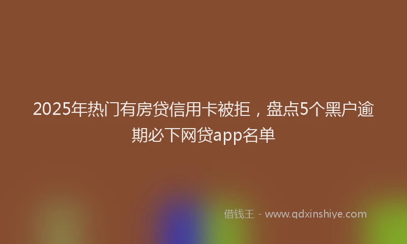 2025年热门有房贷信用卡被拒，盘点5个黑户逾期必下网贷app名单