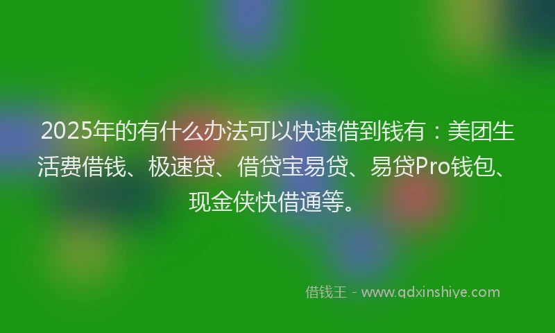 2025年的有什么办法可以快速借到钱有：美团生活费借钱、极速贷、借贷宝易贷、易贷Pro钱包、现金侠快借通等。