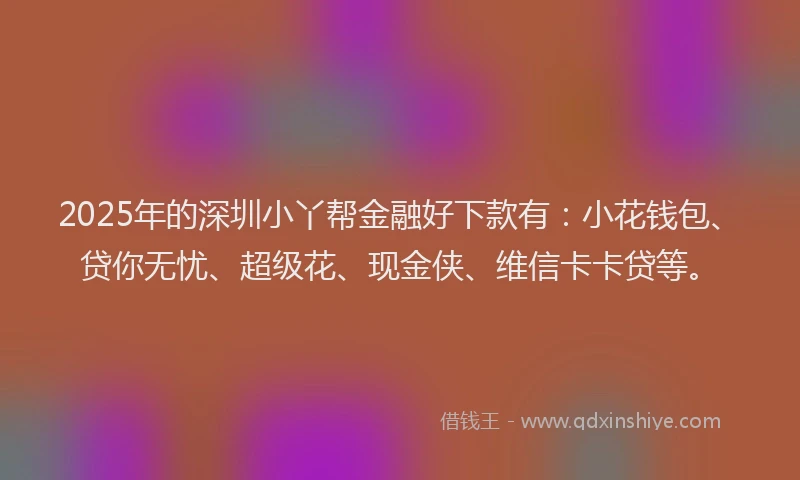 2025年的深圳小丫帮金融好下款有:小花钱包、贷你无忧、超级花、现金侠、维信卡卡贷等。