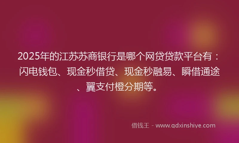 2025年的江苏苏商银行是哪个网贷贷款平台有：闪电钱包、现金秒借贷、现金秒融易、瞬借通途、翼支付橙分期等。